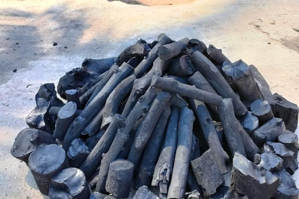 WhatsApp Image 2025-04-11 at 8.58.25 AM