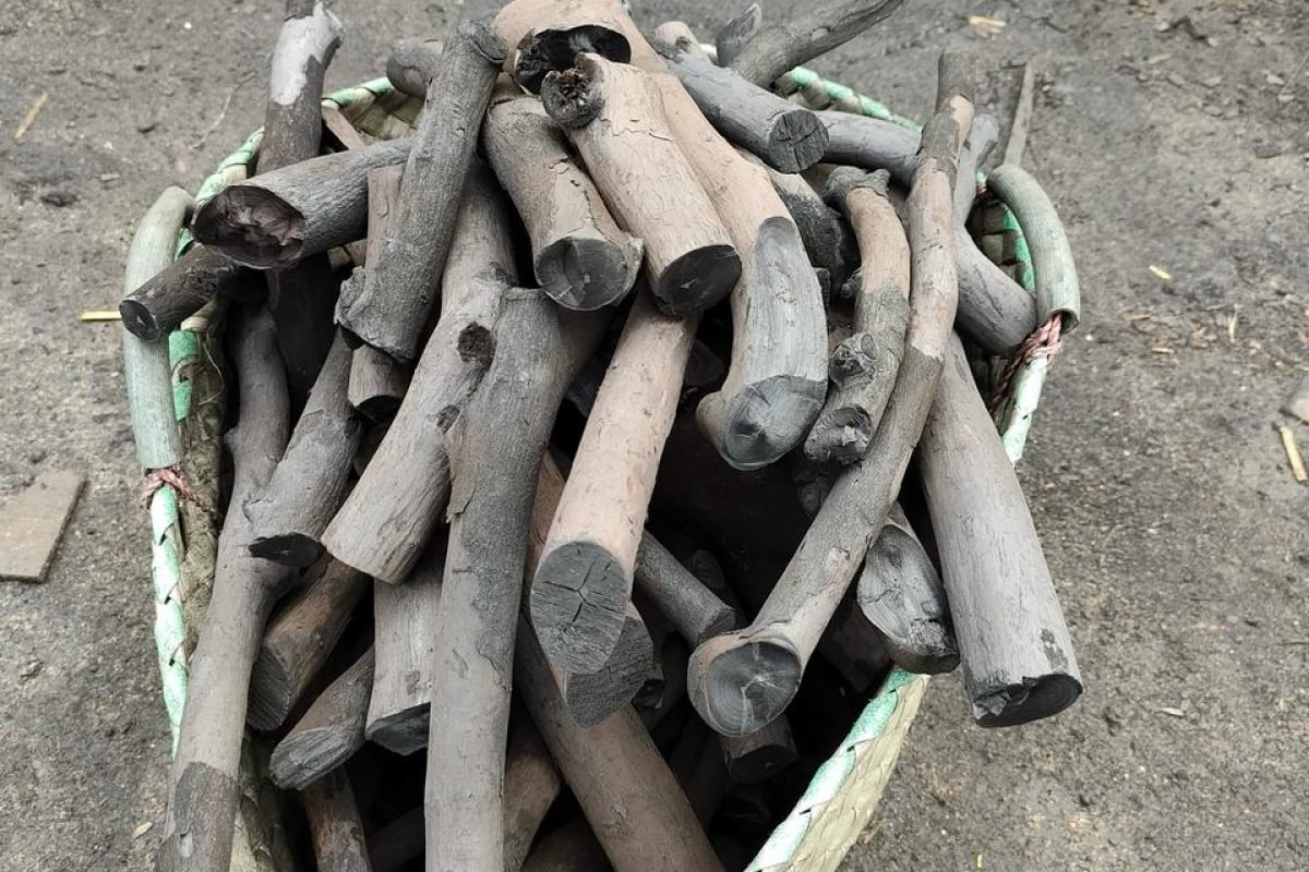 WhatsApp Image 2025-04-11 at 8.58.28 AM (1)