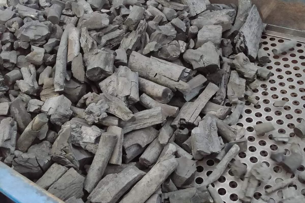 WhatsApp Image 2025-04-11 at 8.58.28 AM (2)