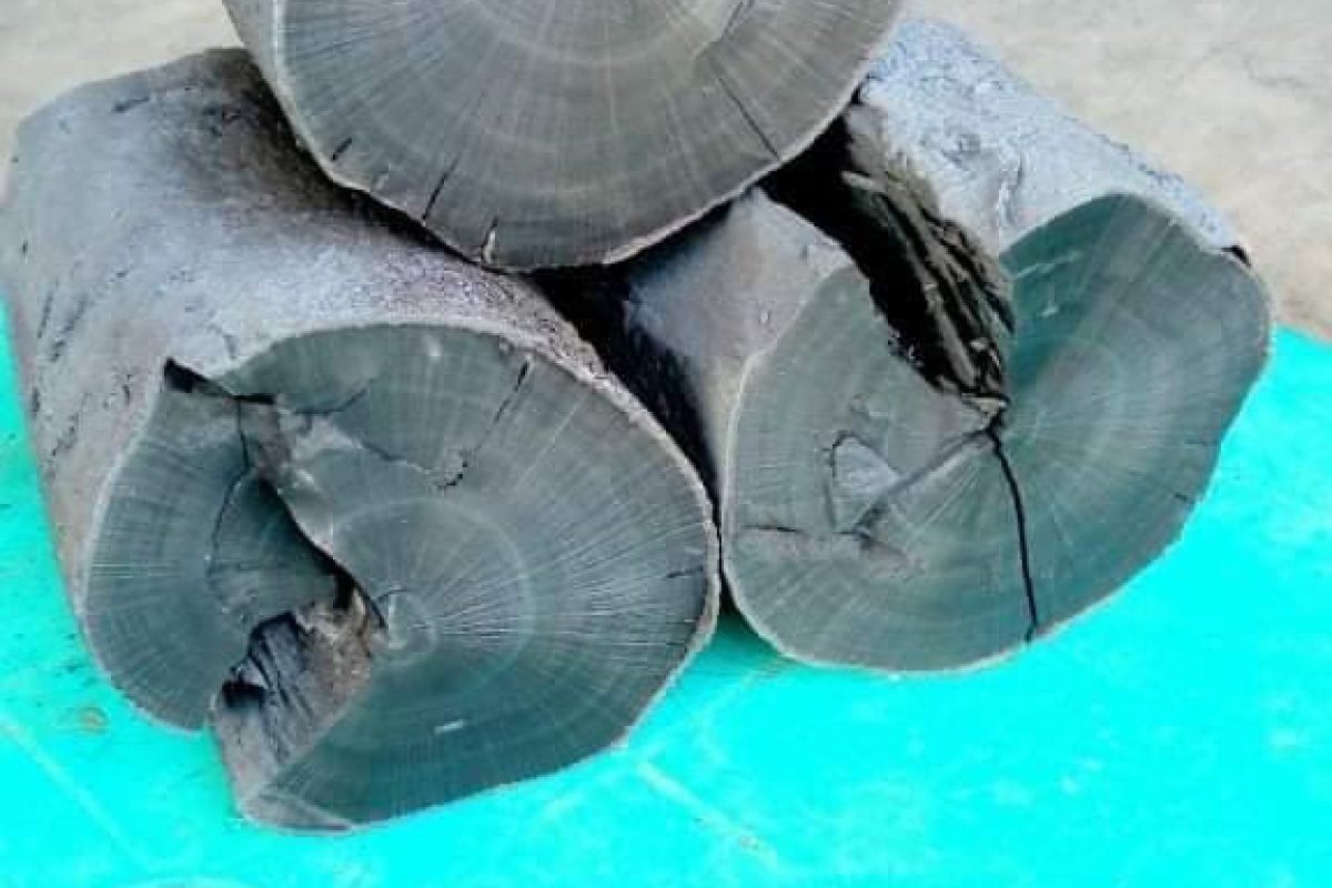 WhatsApp Image 2025-04-11 at 8.58.28 AM (3)