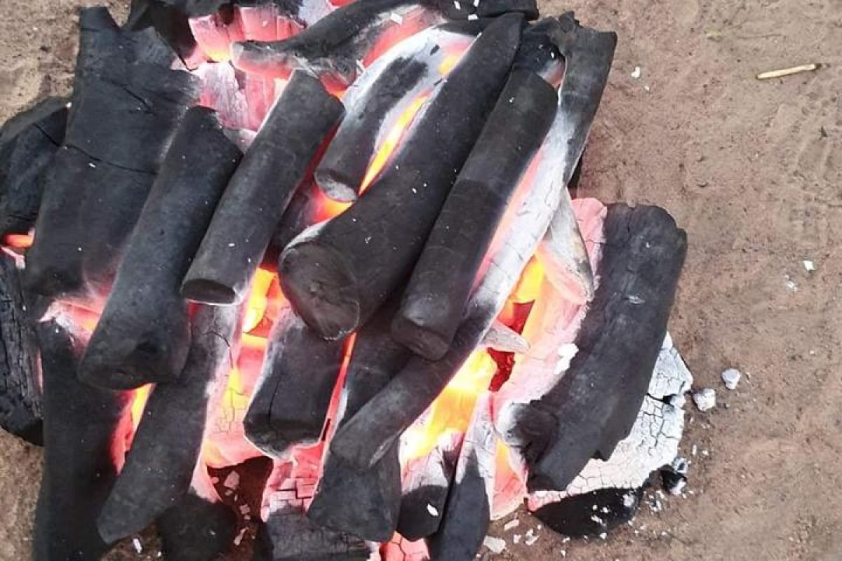 WhatsApp Image 2025-04-11 at 8.58.28 AM (4)