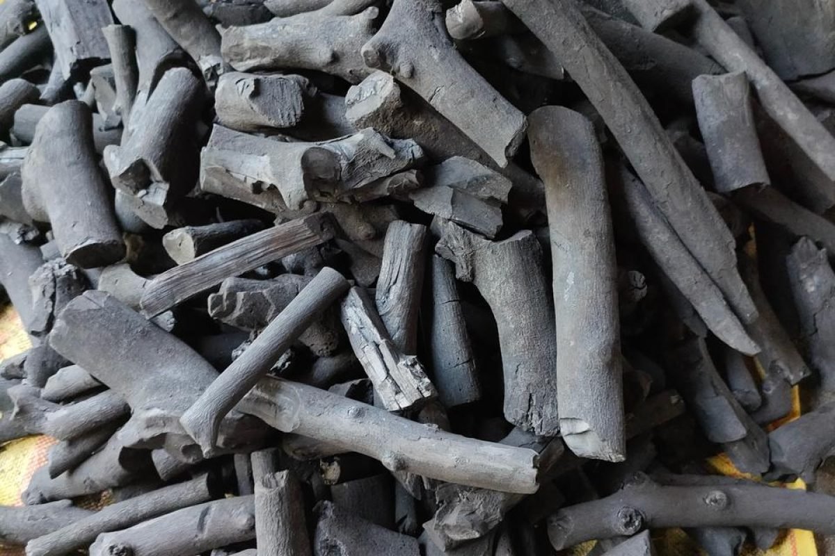 WhatsApp Image 2025-04-11 at 8.58.28 AM