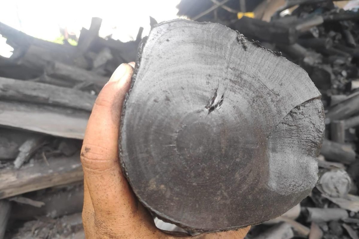 WhatsApp Image 2025-04-11 at 8.58.29 AM (3)