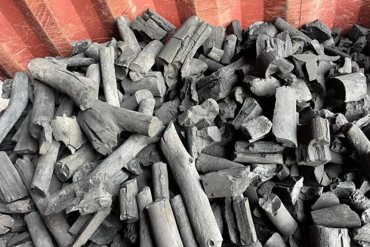 WhatsApp Image 2025-04-11 at 8.58.29 AM (5)