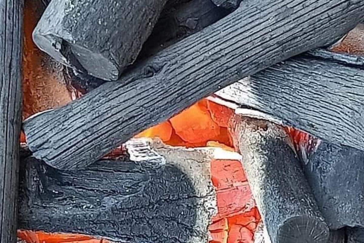 شركه المبروك للفحم