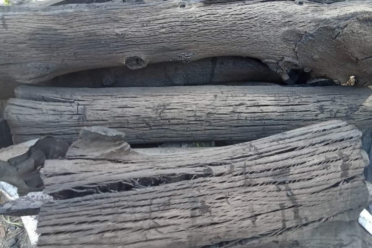 WhatsApp Image 2025-04-11 at 8.58.29 AM (7)