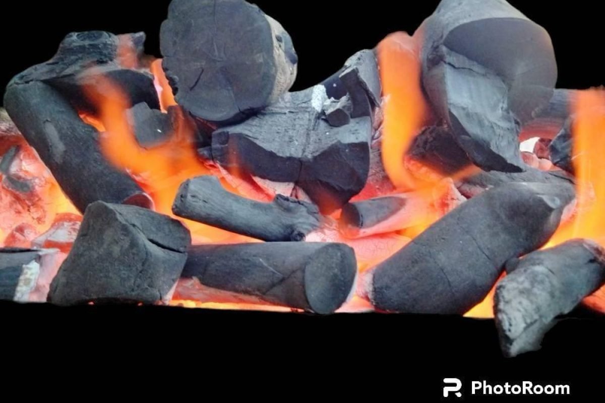 WhatsApp Image 2025-04-11 at 8.58.29 AM (8)