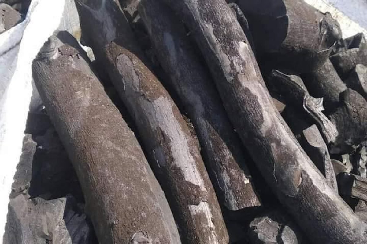 WhatsApp Image 2025-04-11 at 8.58.29 AM (9)