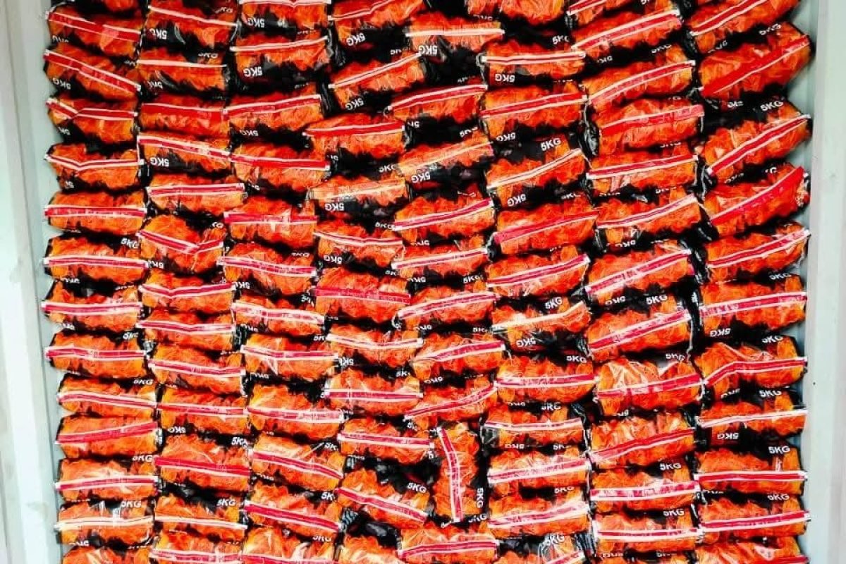 WhatsApp Image 2025-04-11 at 9.04.19 AM