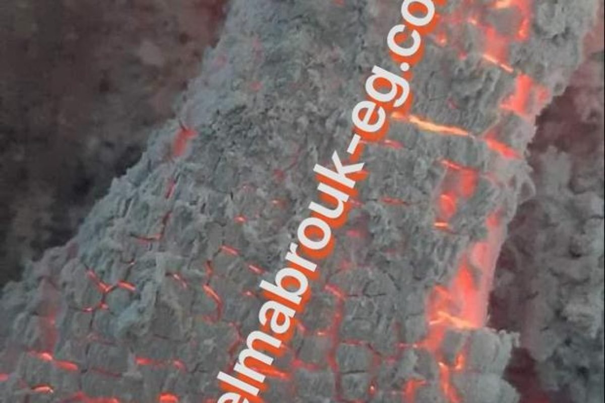 WhatsApp Image 2025-04-11 at 9.04.20 AM (1)