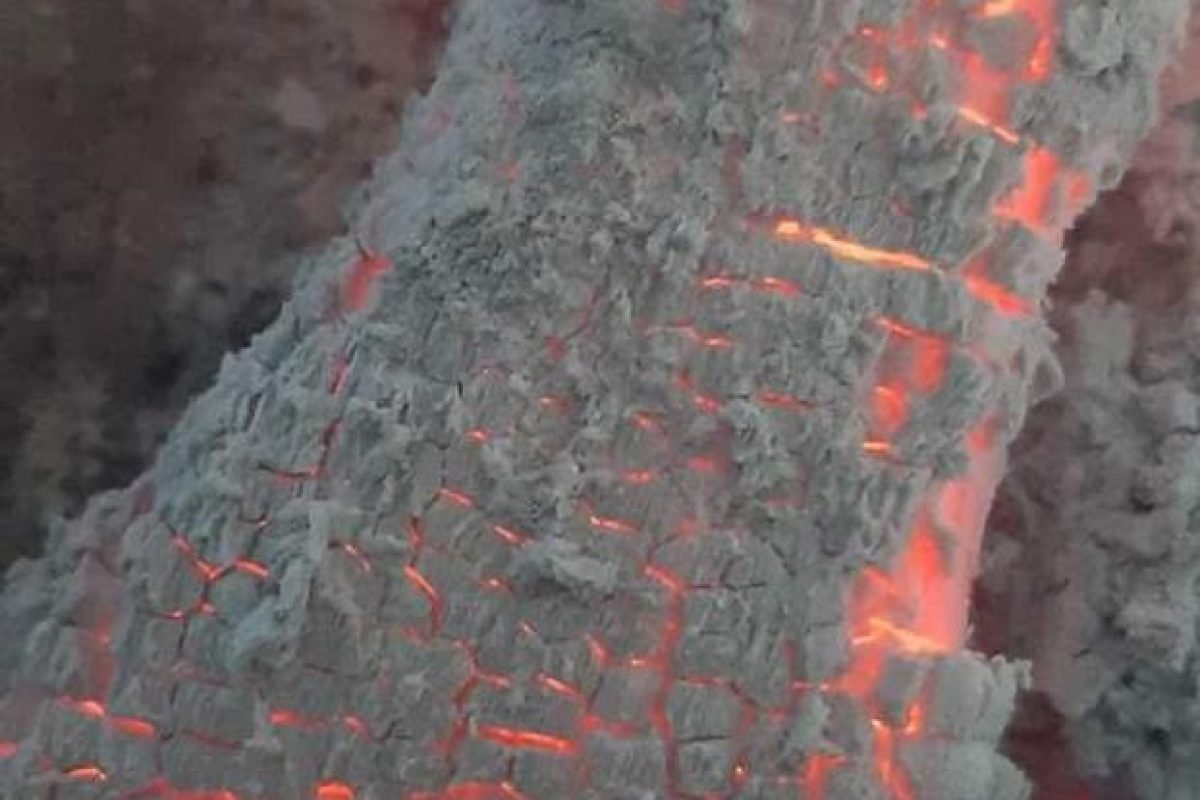 WhatsApp Image 2025-04-11 at 9.04.22 AM (1)