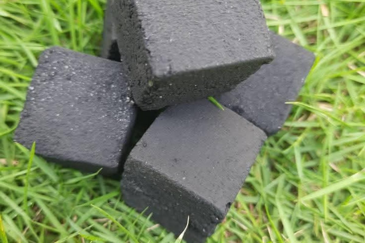 WhatsApp Image 2025-04-11 at 9.04.23 AM (1)