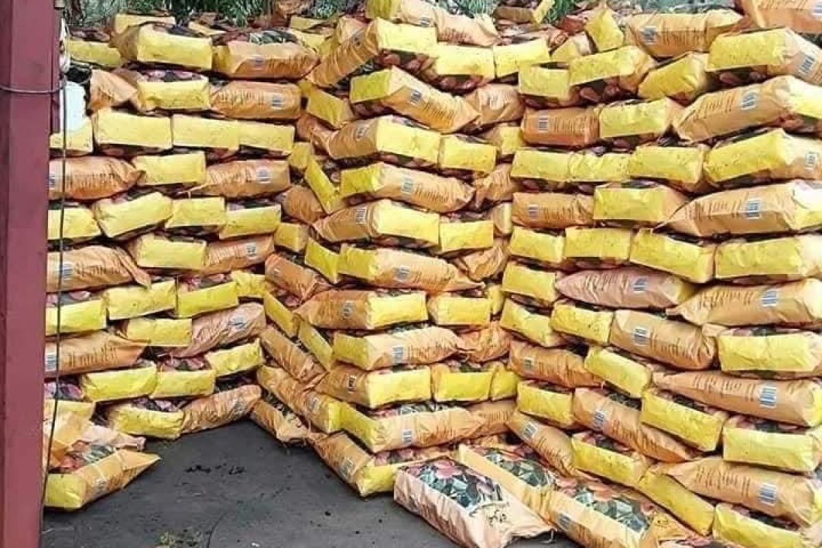 WhatsApp Image 2025-04-11 at 9.04.23 AM (2)