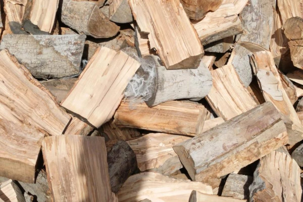 WhatsApp Image 2025-04-11 at 9.08.24 AM (1)