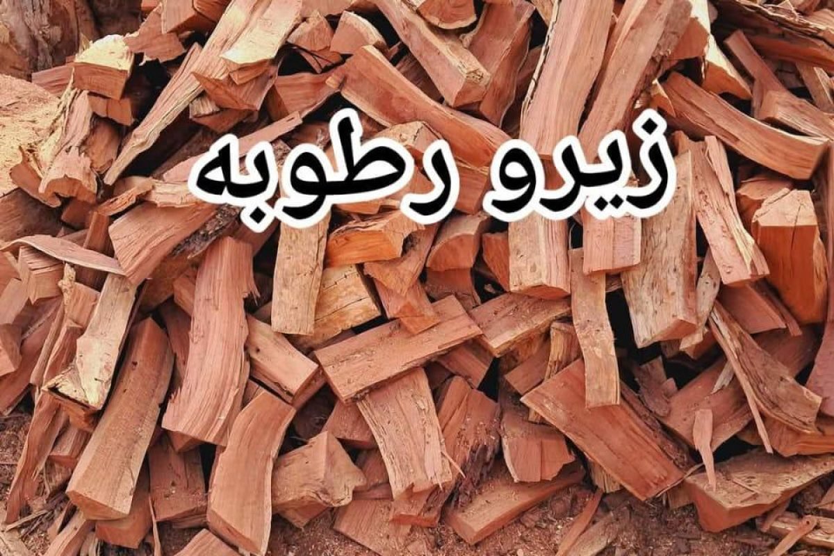 WhatsApp Image 2025-04-11 at 9.08.24 AM