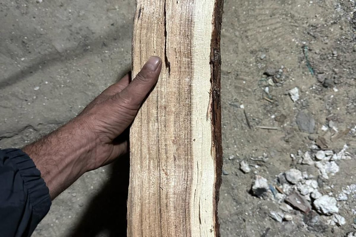 WhatsApp Image 2025-04-11 at 9.08.25 AM (1)