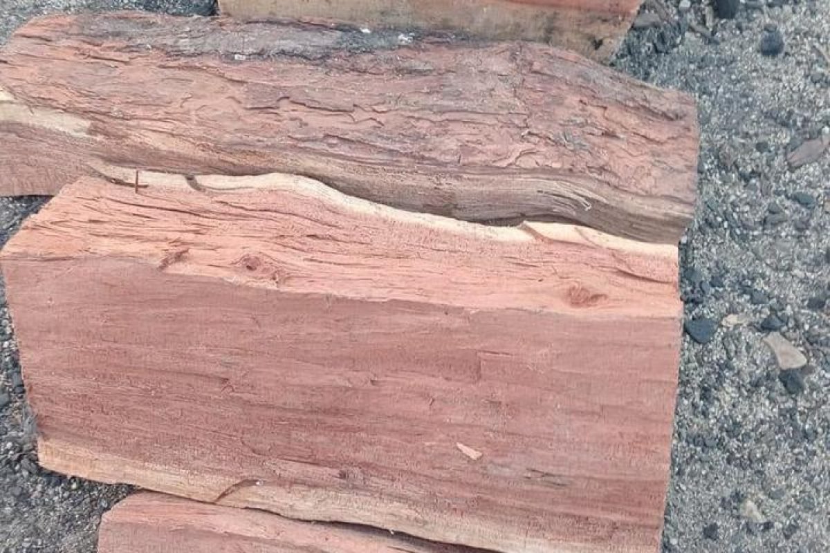 WhatsApp Image 2025-04-11 at 9.08.25 AM (2)