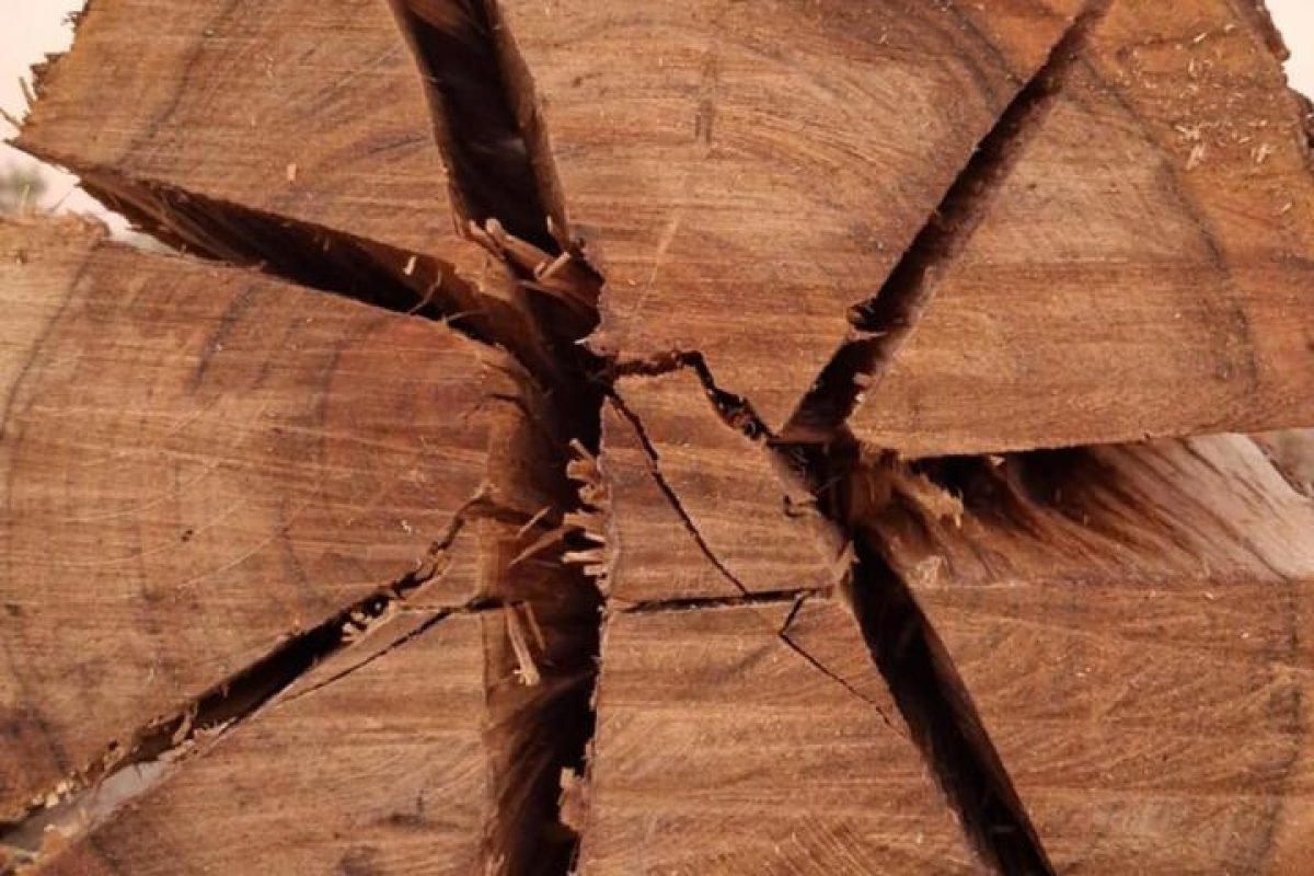 WhatsApp Image 2025-04-11 at 9.08.25 AM