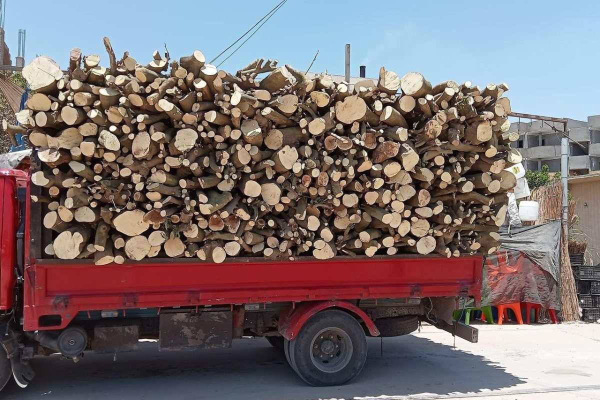 WhatsApp Image 2025-04-11 at 9.08.26 AM (1)