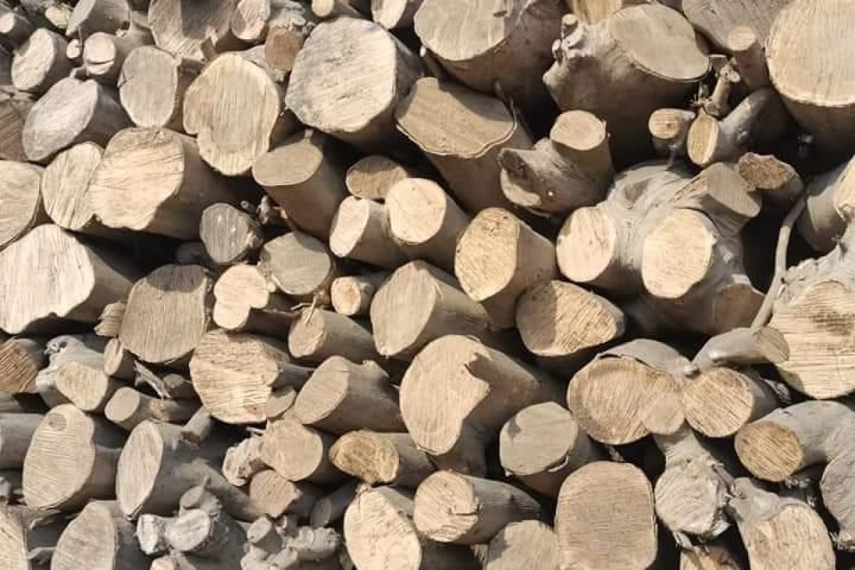 WhatsApp Image 2025-04-11 at 9.08.26 AM (2)