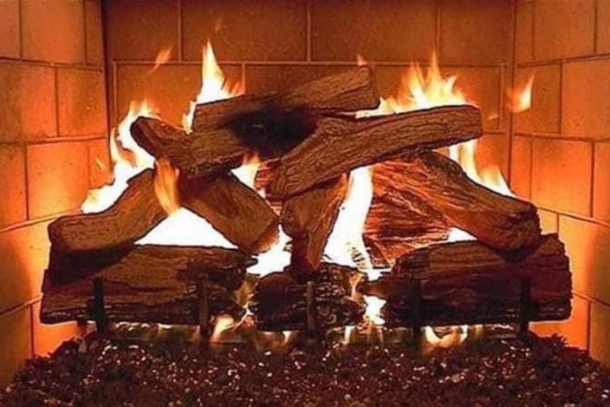 WhatsApp Image 2025-04-11 at 9.08.26 AM