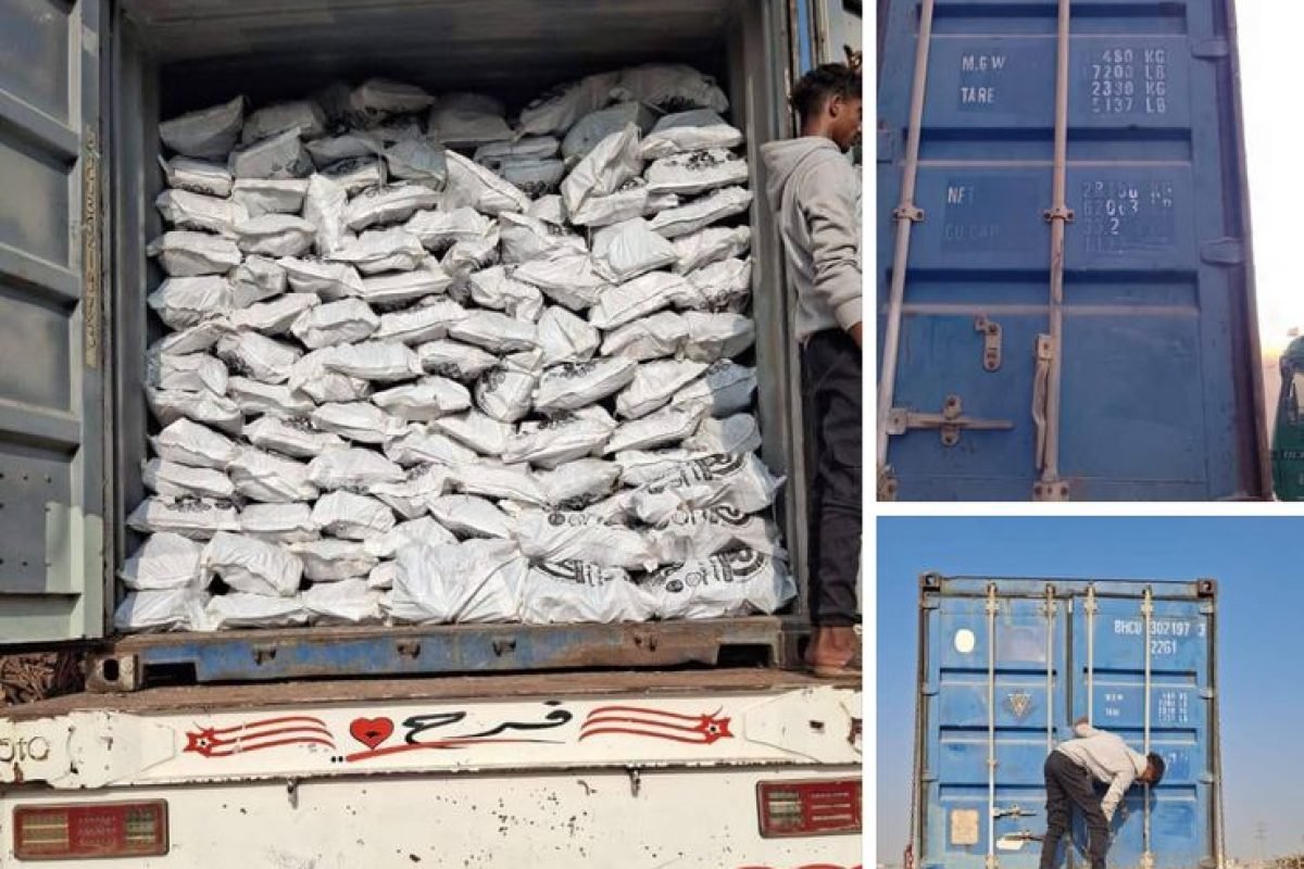 WhatsApp Image 2025-04-12 at 9.30.24 AM (2)