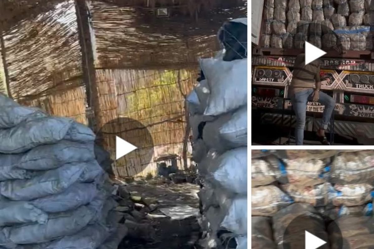 WhatsApp Image 2025-04-12 at 9.30.24 AM (3)