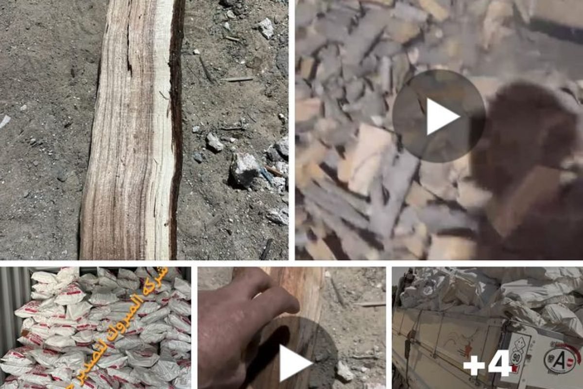 WhatsApp Image 2025-04-12 at 9.30.24 AM (4)