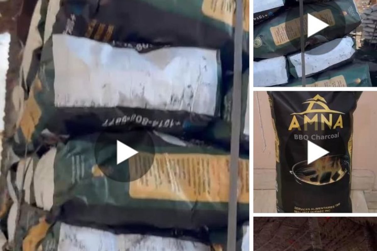 WhatsApp Image 2025-04-12 at 9.30.24 AM