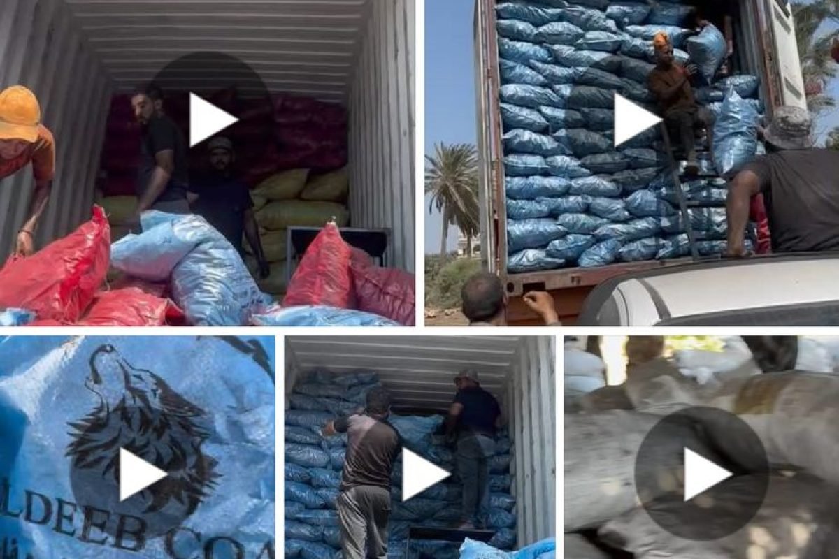 WhatsApp Image 2025-04-12 at 9.30.25 AM (1)