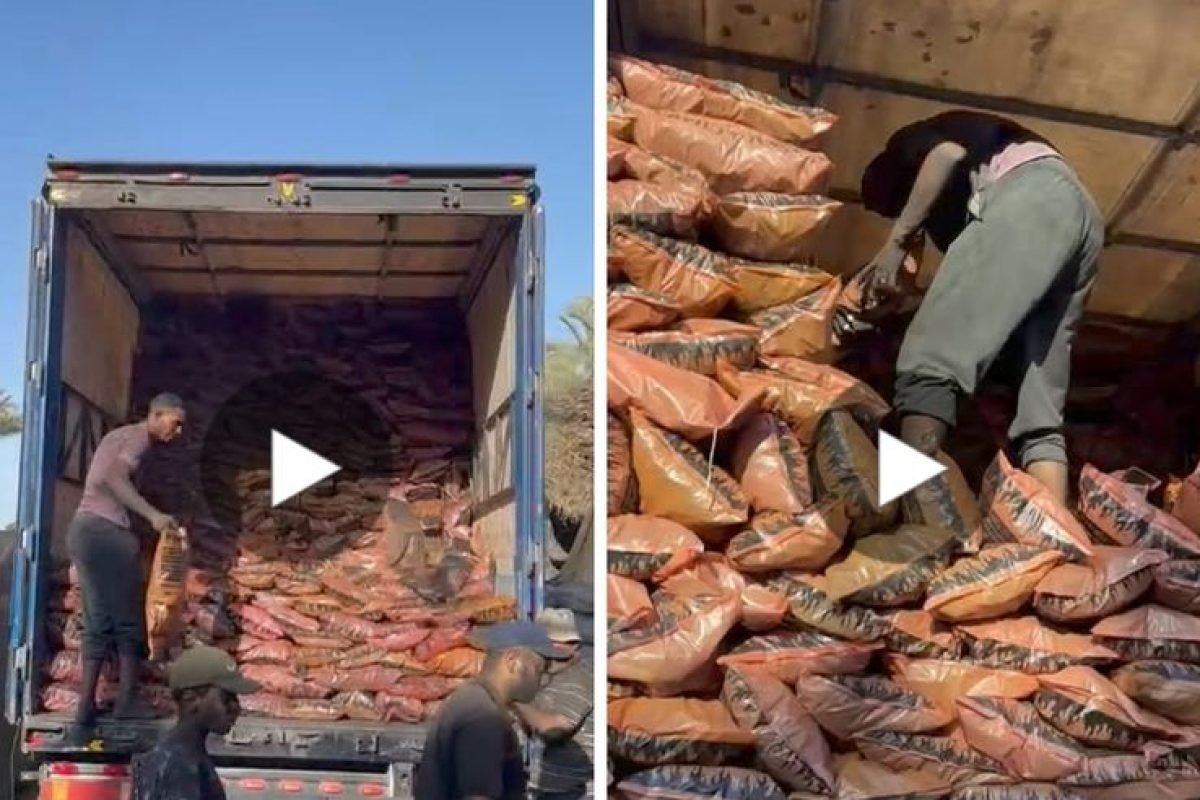 WhatsApp Image 2025-04-12 at 9.30.25 AM (2)