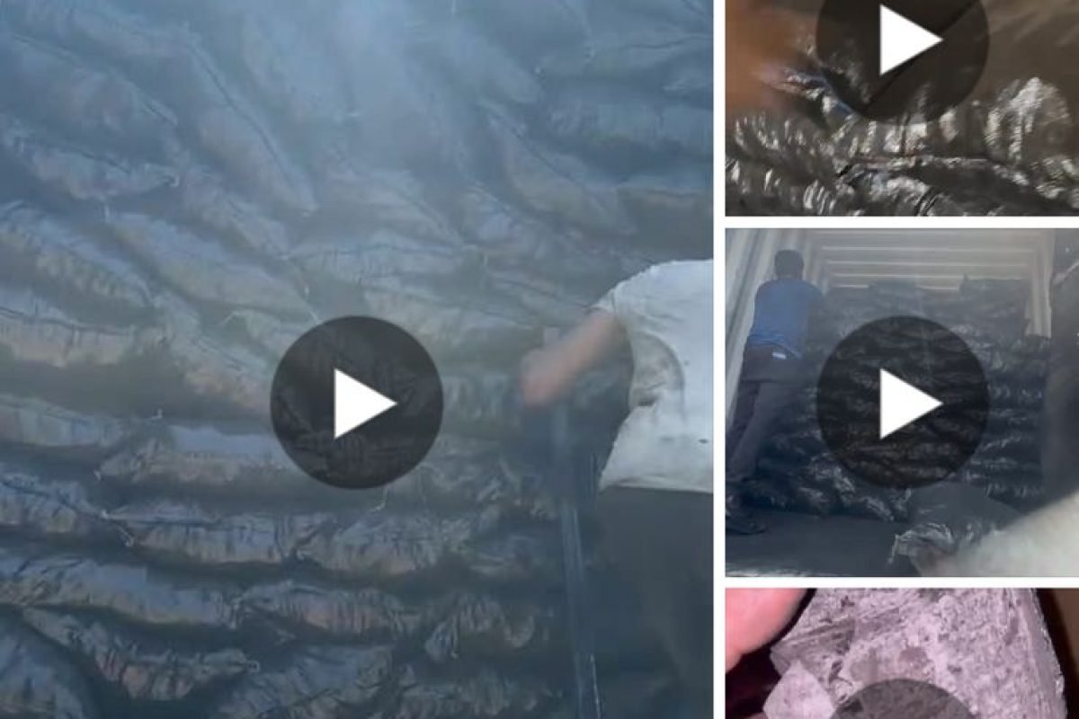 WhatsApp Image 2025-04-12 at 9.30.25 AM (3)