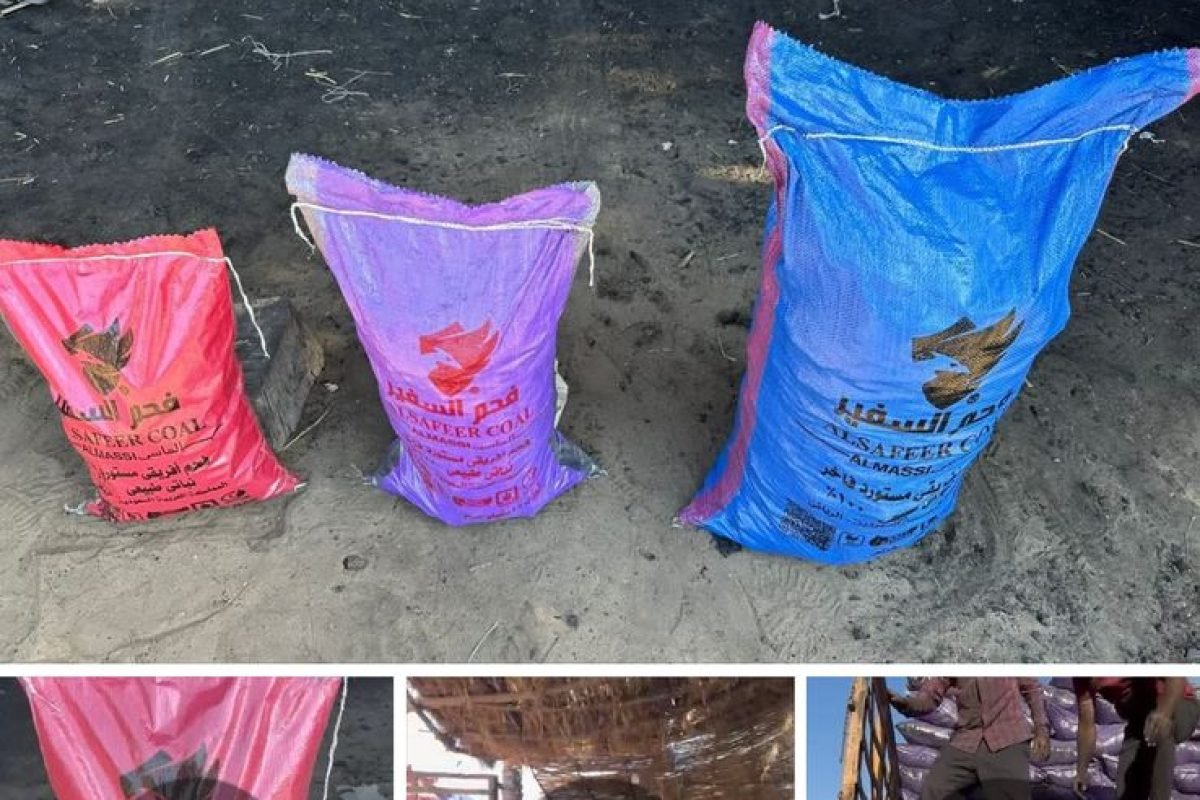 WhatsApp Image 2025-04-12 at 9.30.25 AM