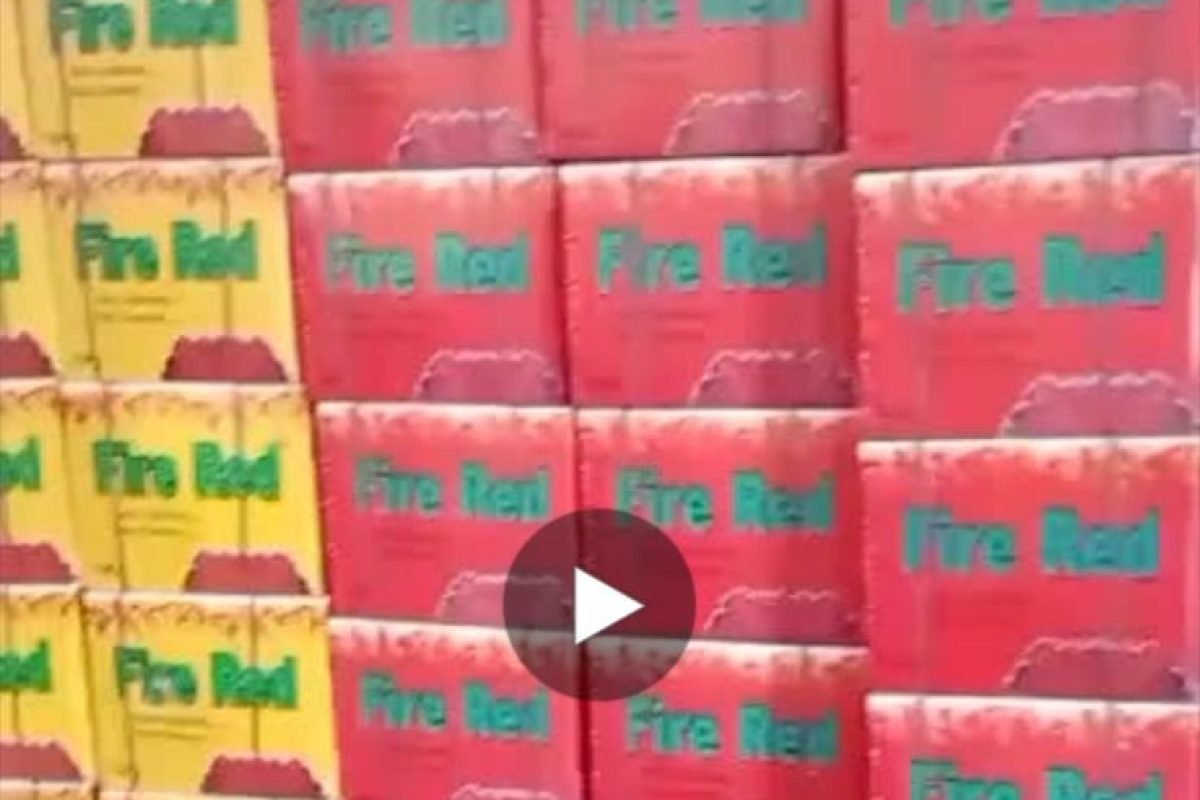 WhatsApp Image 2025-04-12 at 9.30.26 AM (1)