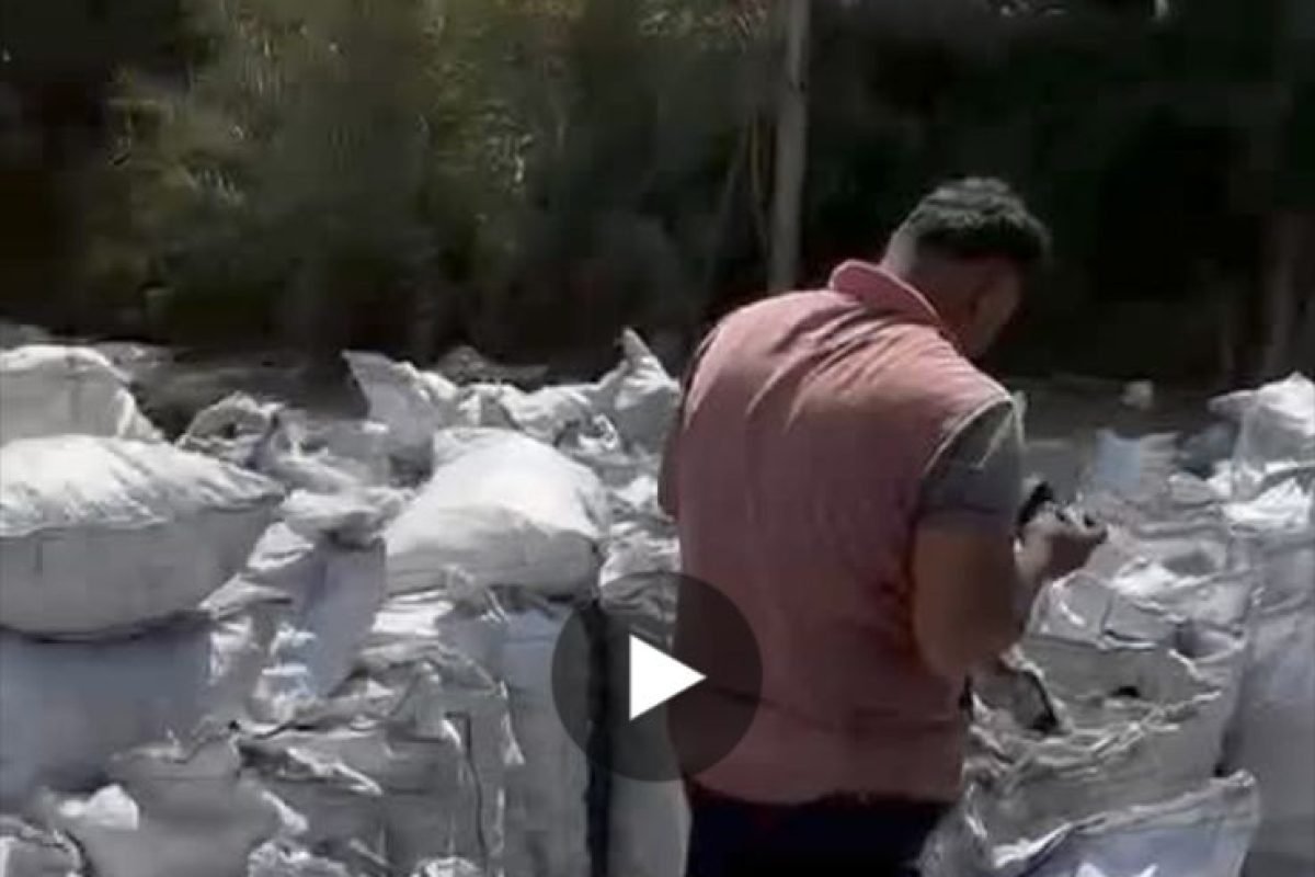 WhatsApp Image 2025-04-12 at 9.30.28 AM (1)