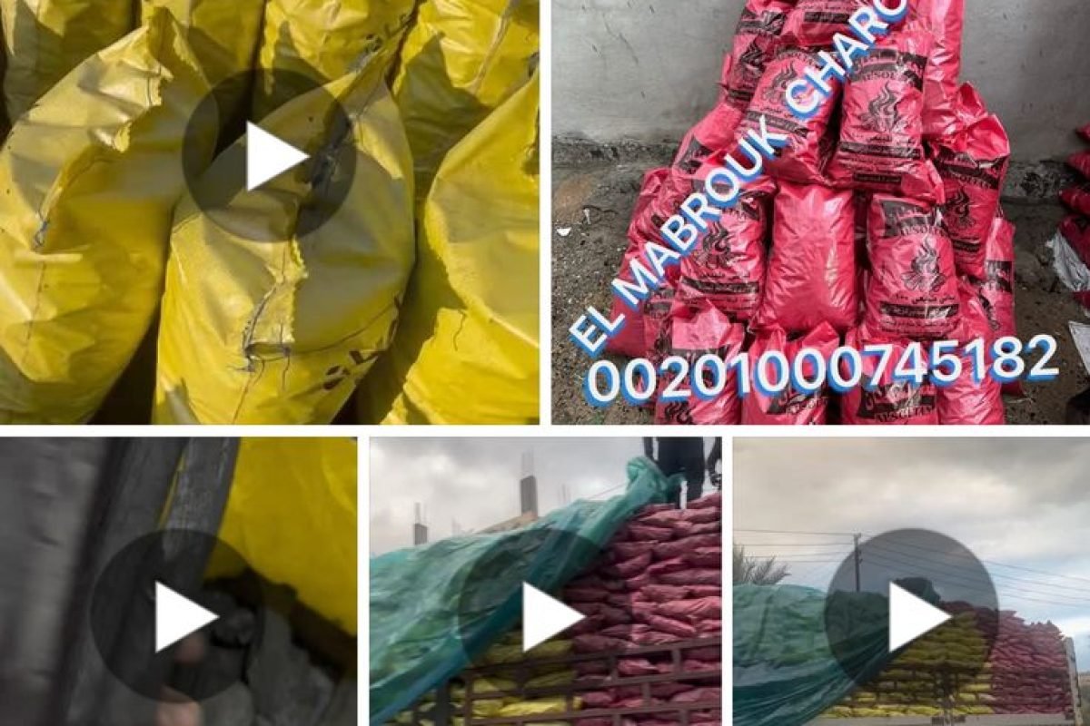 WhatsApp Image 2025-04-12 at 9.30.28 AM