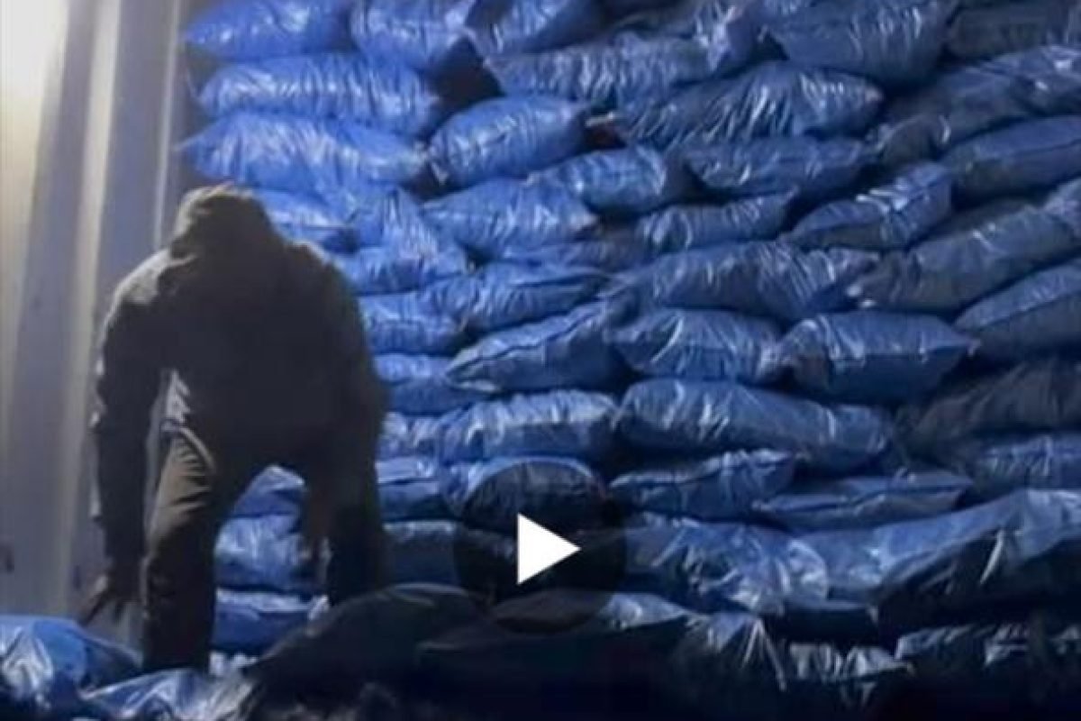 WhatsApp Image 2025-04-12 at 9.30.29 AM (1)