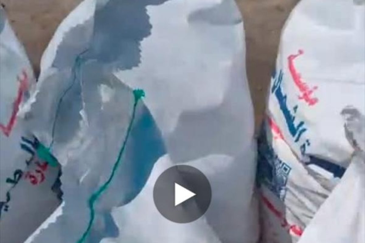 WhatsApp Image 2025-04-12 at 9.30.29 AM (2)