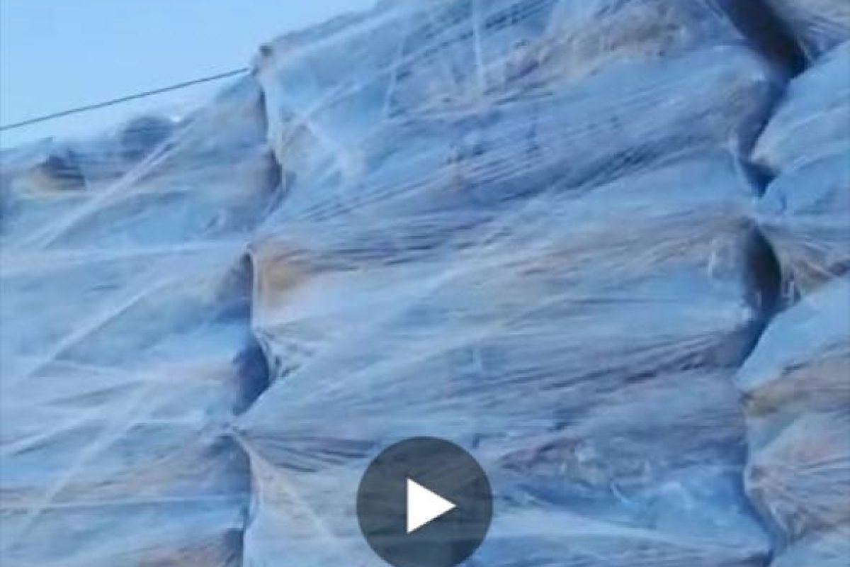 WhatsApp Image 2025-04-12 at 9.30.29 AM (4)