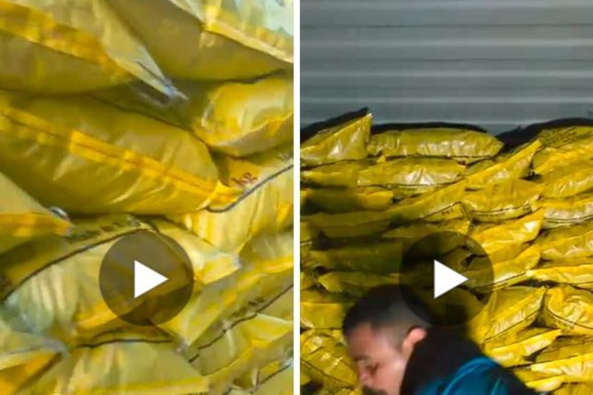 WhatsApp Image 2025-04-12 at 9.30.29 AM (5)