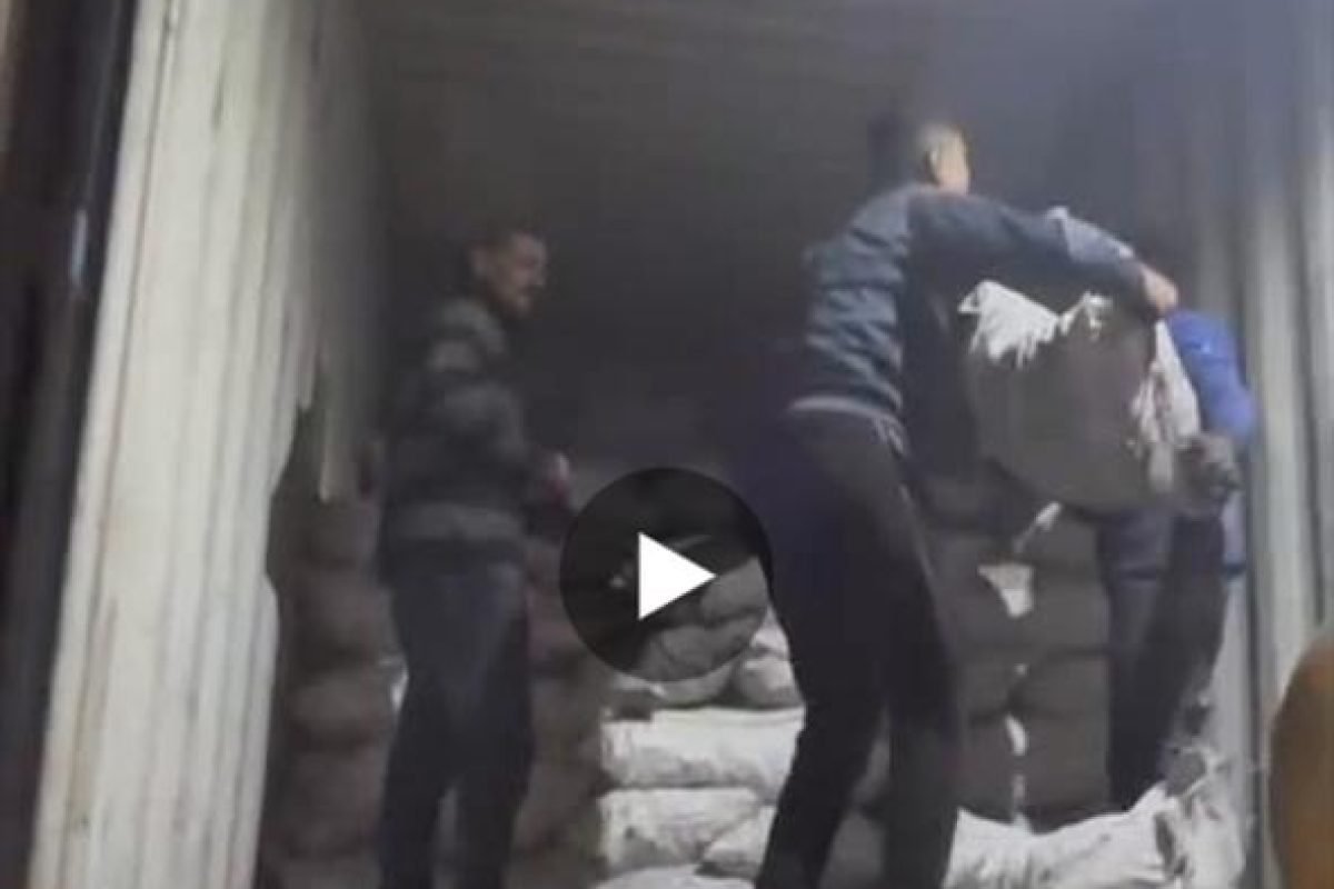 WhatsApp Image 2025-04-12 at 9.30.29 AM