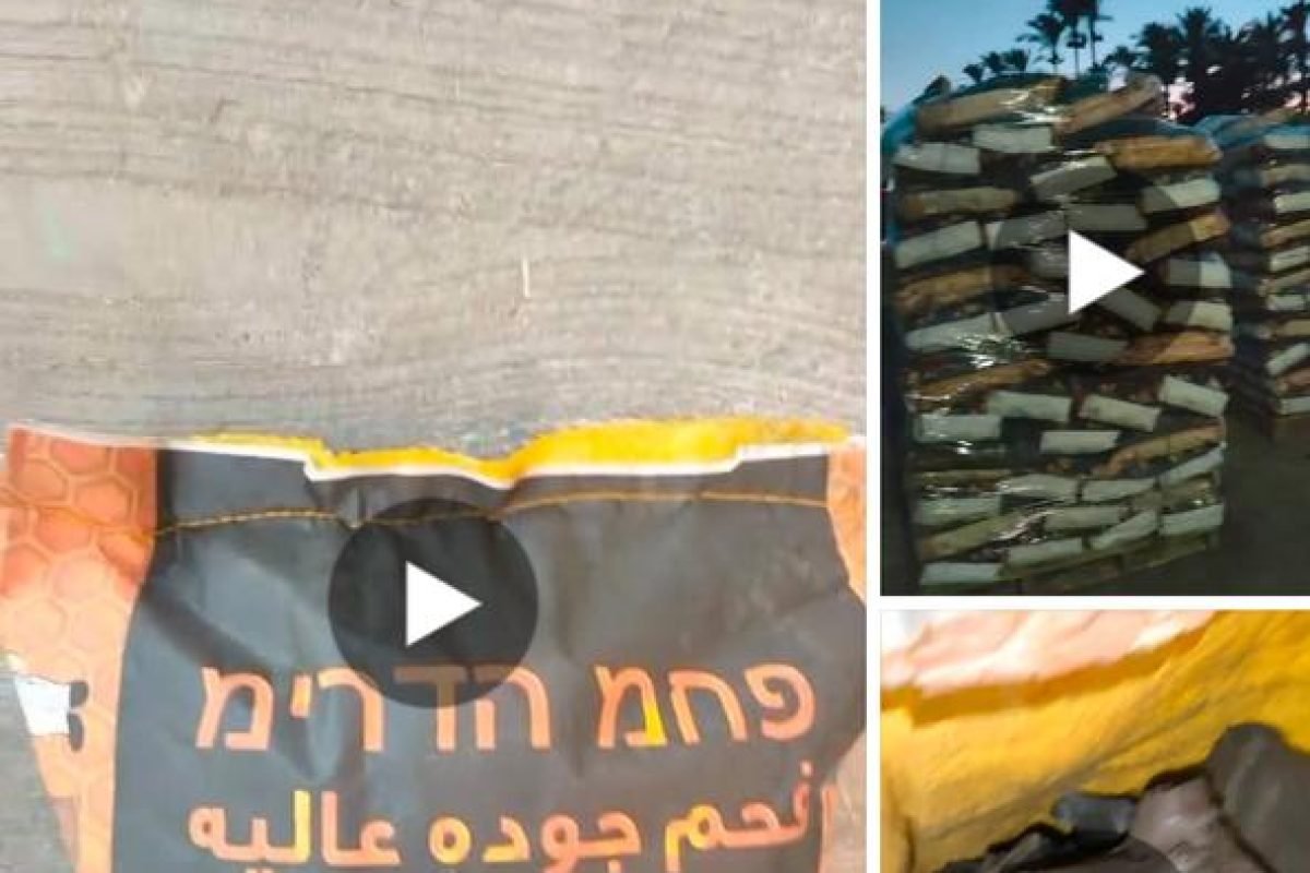 WhatsApp Image 2025-04-12 at 9.30.30 AM (1)