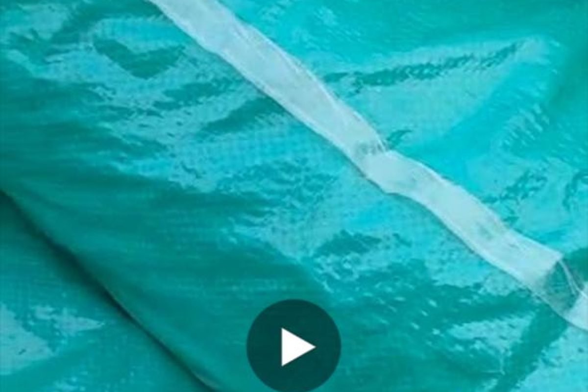 WhatsApp Image 2025-04-12 at 9.30.30 AM (2)