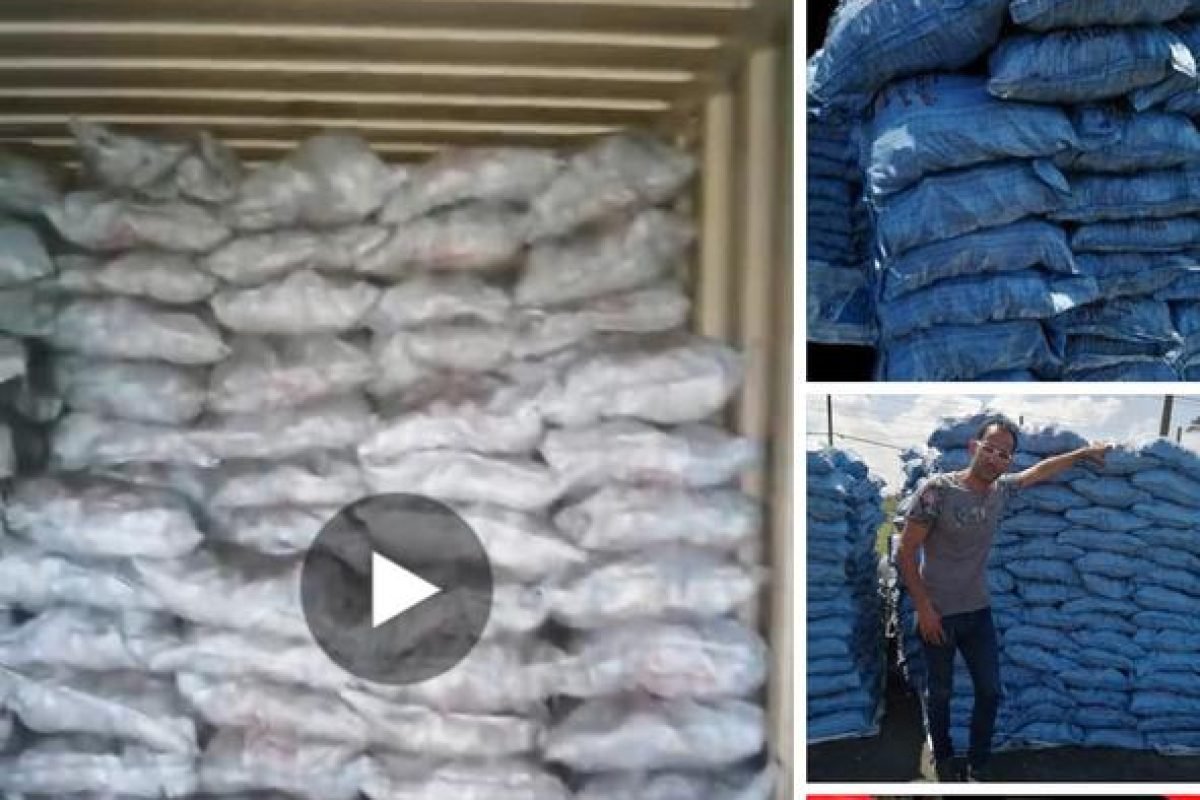 WhatsApp Image 2025-04-12 at 9.30.31 AM